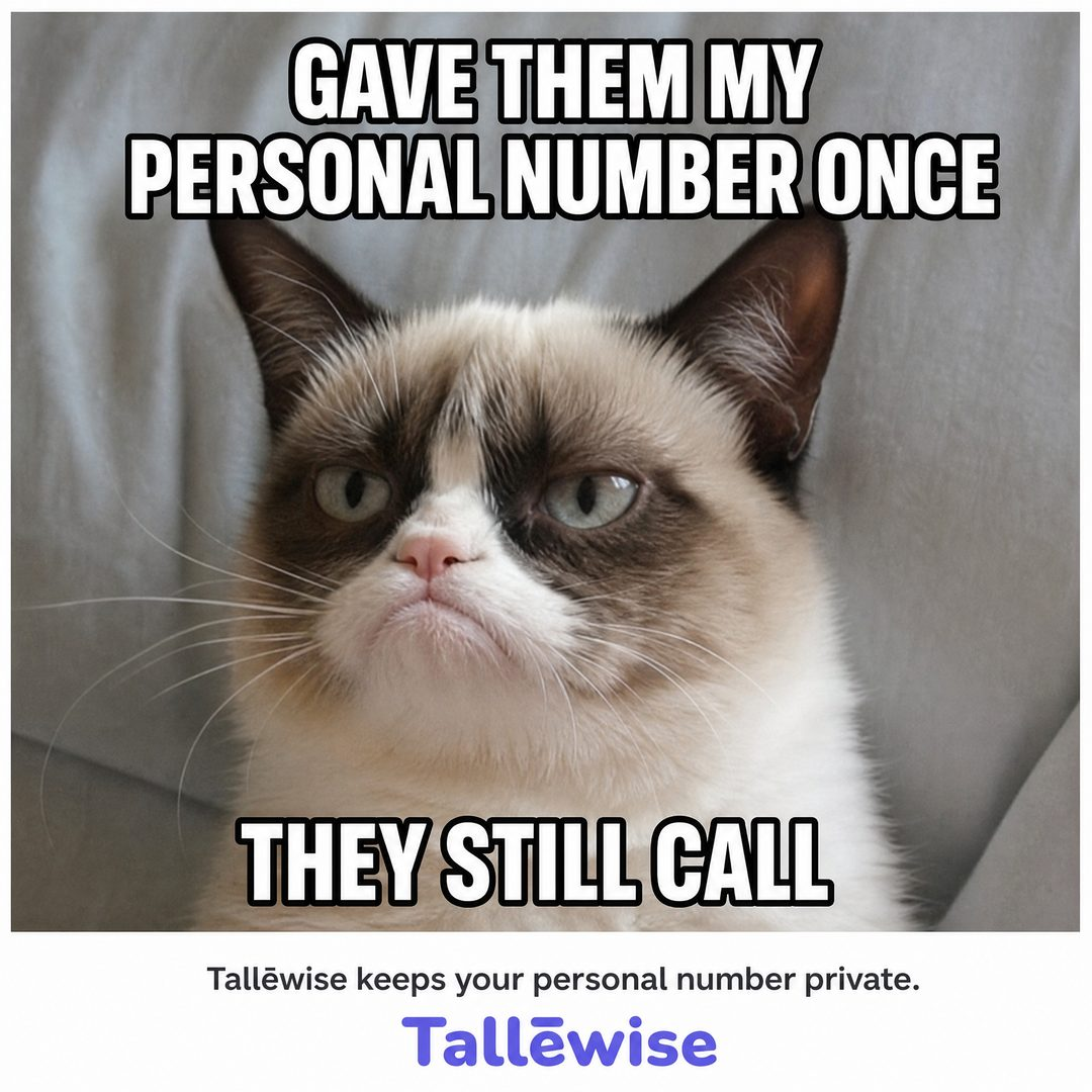 Tallewise educational meme